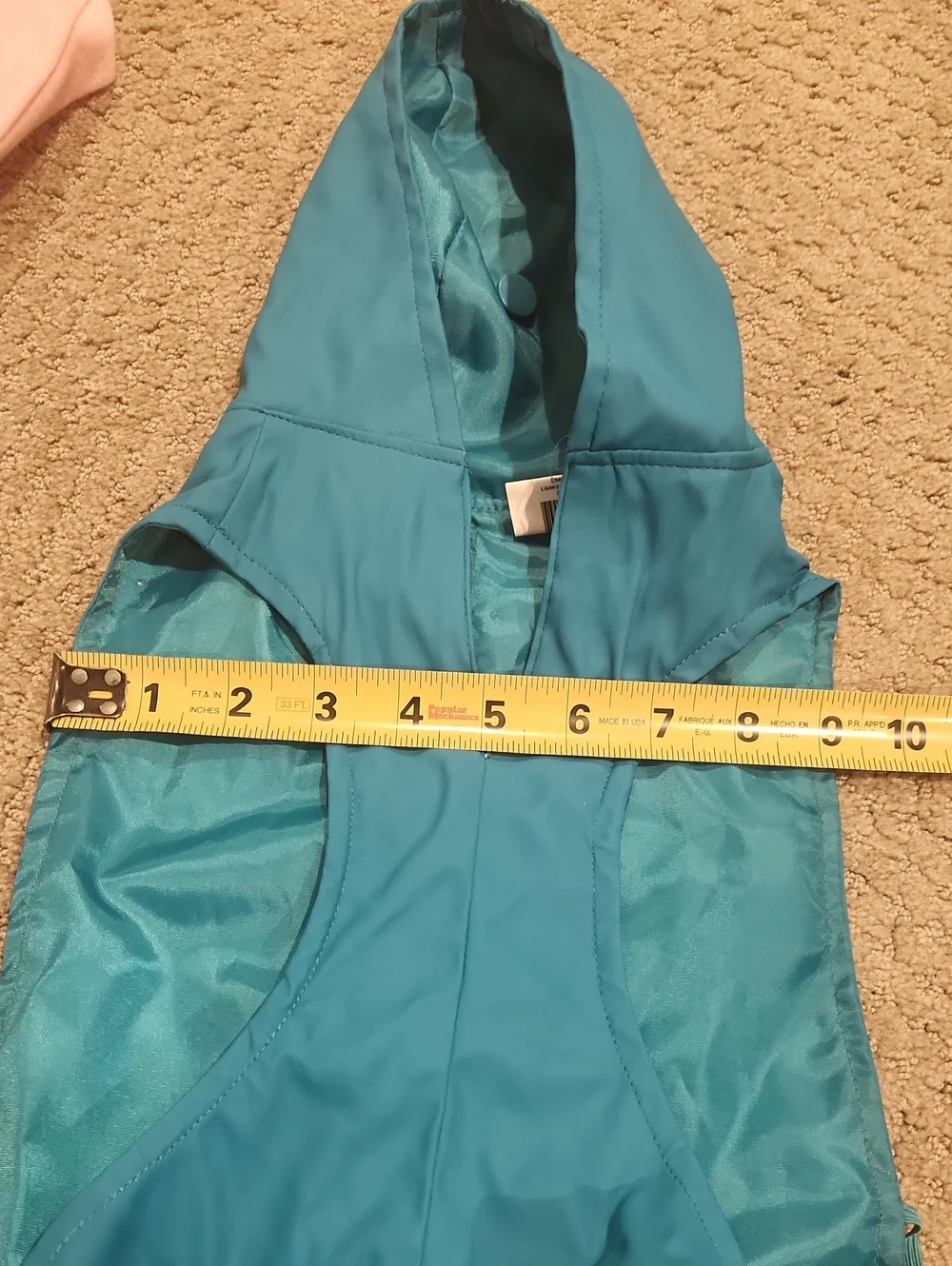 Top Paw bright blue